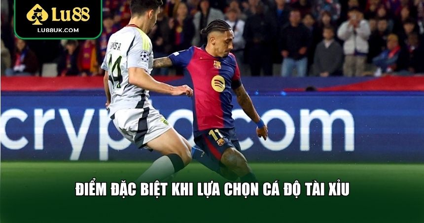 Điểm đặc biệt khi lựa chọn cá độ Tài Xỉu