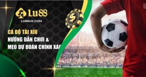 Cá Độ Tài Xỉu – Hướng Dẫn Chơi & Mẹo Dự Đoán Chính Xác