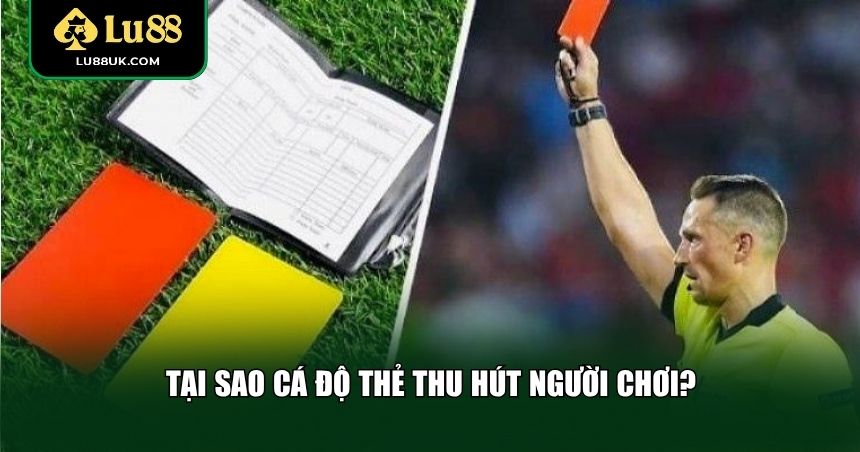 Tại sao cá độ thẻ thu hút người chơi?