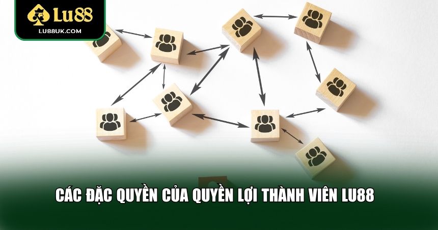 Nhiều đặc quyền của quyền lợi thành viên LU88 hấp dẫn