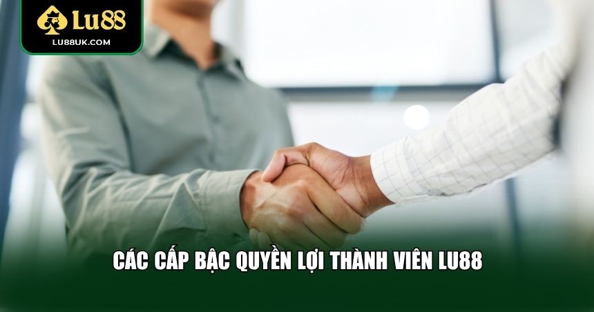 Phân cấp bậc quyền lợi thành viên LU88