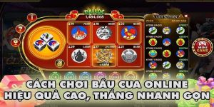 Các chiến lược chơi bầu cua tại LU88